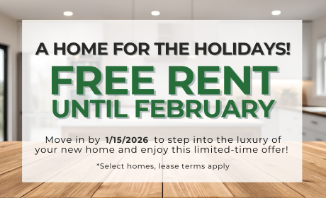 image for /shared/images/stephens-farm-popup-0bo3hipq.png