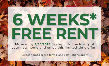 image for /shared/images/stephens-farm-popup-4obmgmox.png