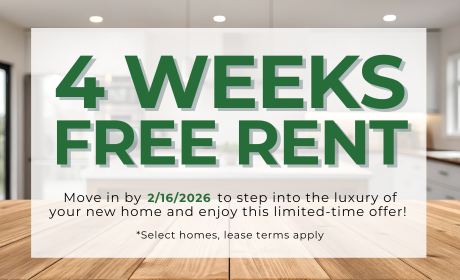 image for /shared/images/stephens-farm-popup-blv0spc2.png