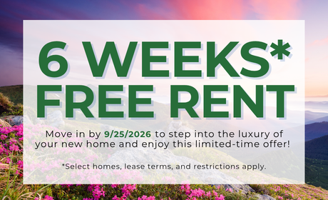 image for /shared/images/stephens-farm-popup-e4q1ocbn.png
