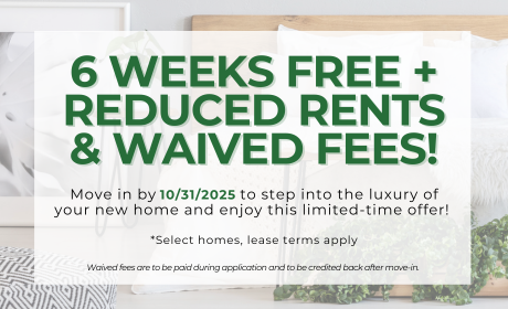 image for /shared/images/stephens-farm-popup-re3rtwjz.png