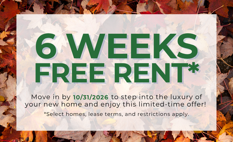 image for /shared/images/stephens-farm-popup-t103rdm3.png